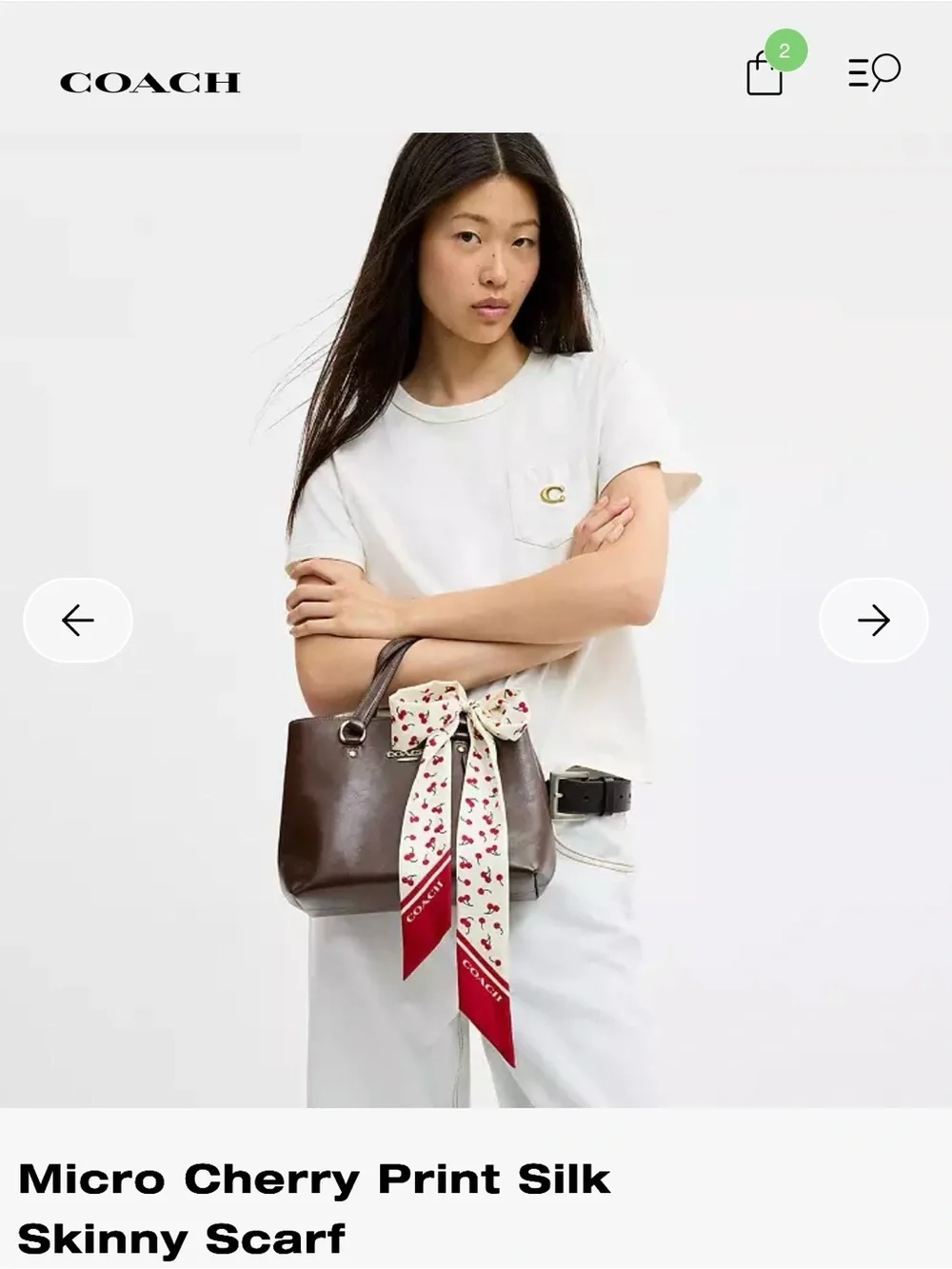 Coach cherry silk skinny scarf